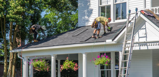 Best Storm Damage Roof Repair  in Grayling, MI